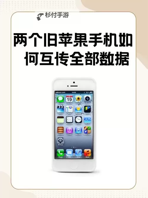 【推荐】1024手机旧版详解与使用指南图2