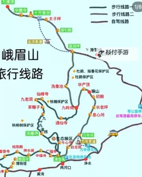 猪洞8层怎么走?详细路线攻略指南图1