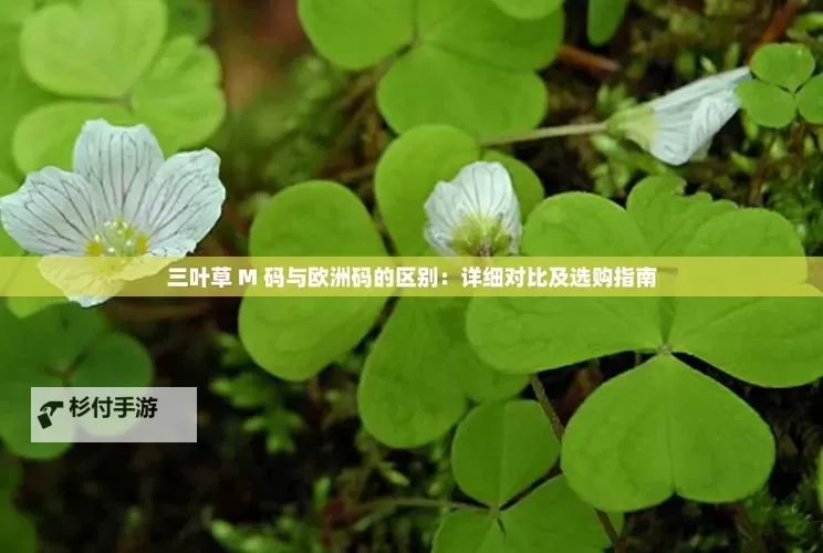 探索三叶草欧洲码在线:安全可靠的在线平台指南图2