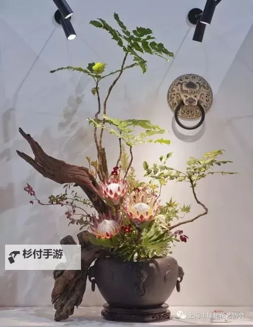 奇幻花艺:探索紫龙插花芯的神秘魅力图1