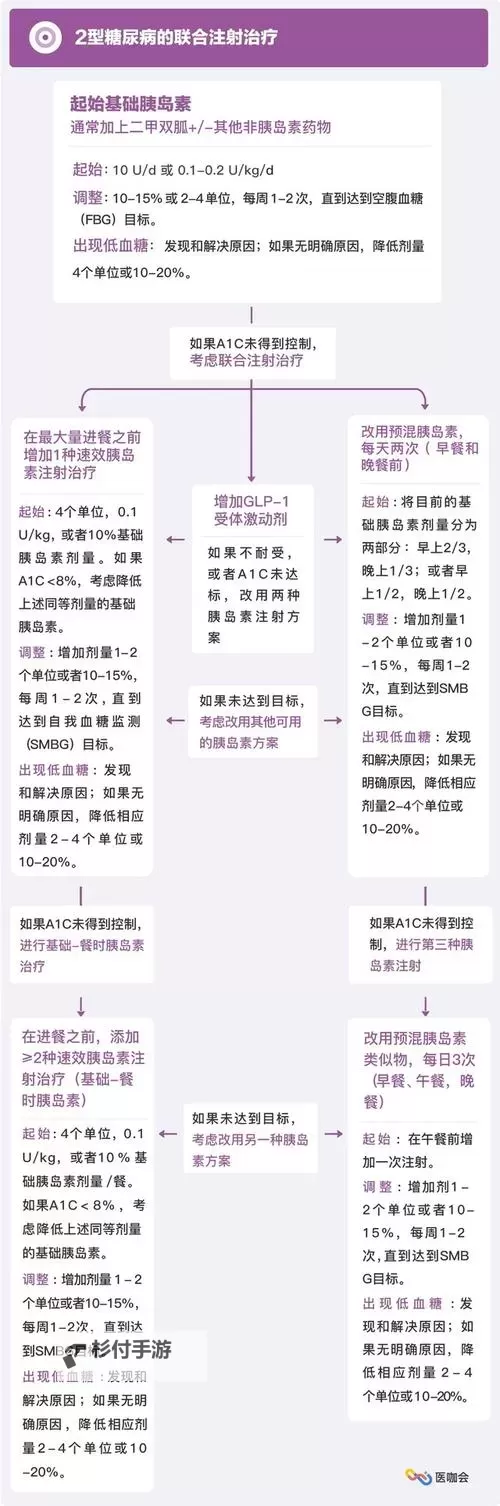 全面解析:维罗妮卡攻略全流程图详尽指南图1