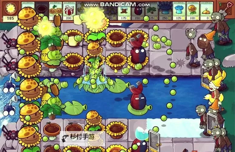 探秘植物大战僵尸时空裂缝图片的神秘世界图1