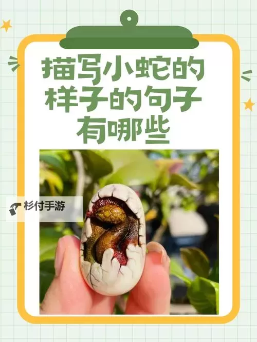 小蛇伊人婷婷五月:探索她的独特魅力与魅力人生图1