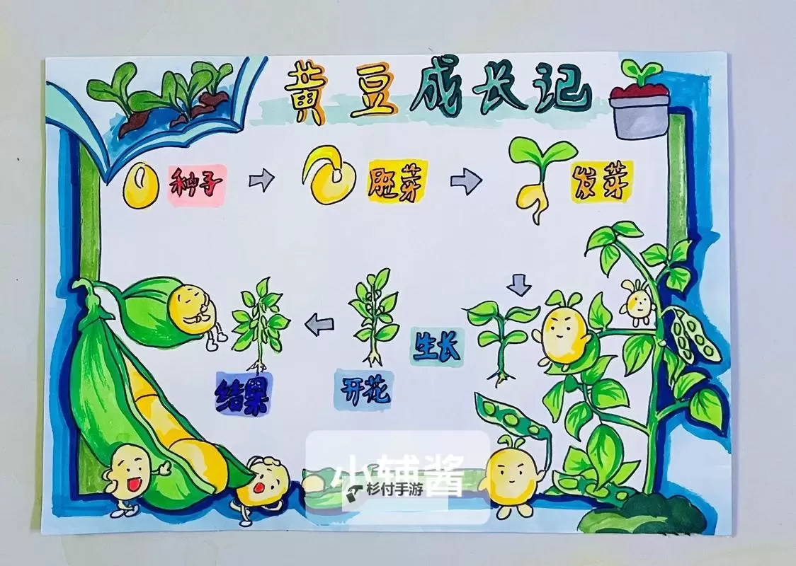 如何玩转自己的小豆子图片,让创意无限!图2