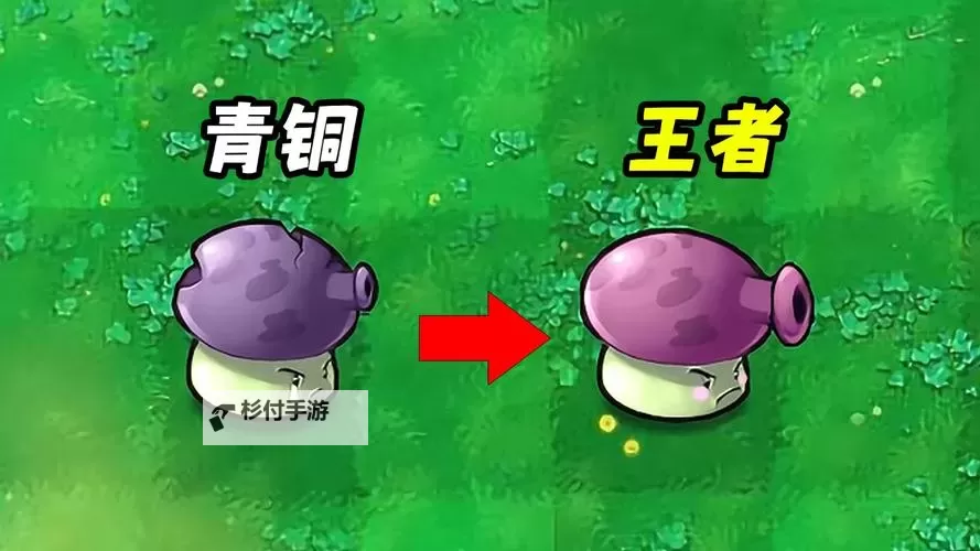 大喷菇升级后叫什么?最新名称解析与变化介绍图2