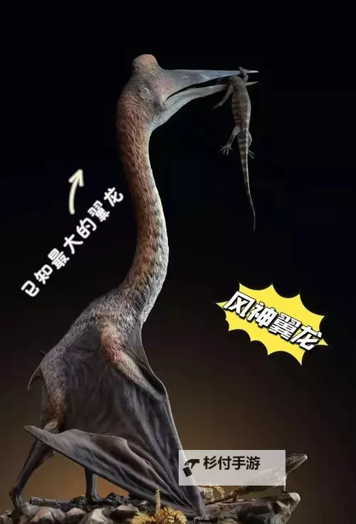 长得像翼神龙:揭秘神秘的怪兽传说图1