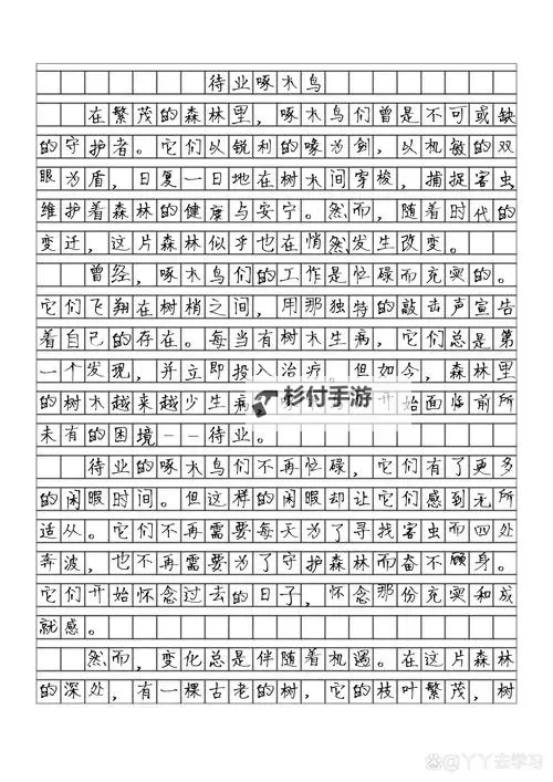 坐在学长上写作业:那份别样的温暖与默契图2