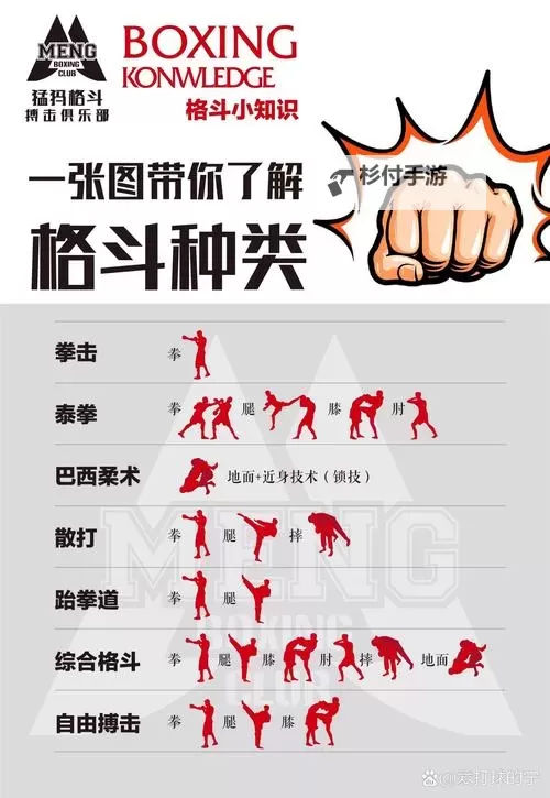 男女格斗家哪个好:全面对比分析优劣势图1