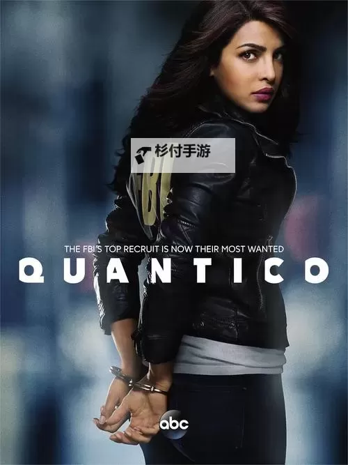 亚洲zooskoolstray全集:完整收录与精彩解析图1