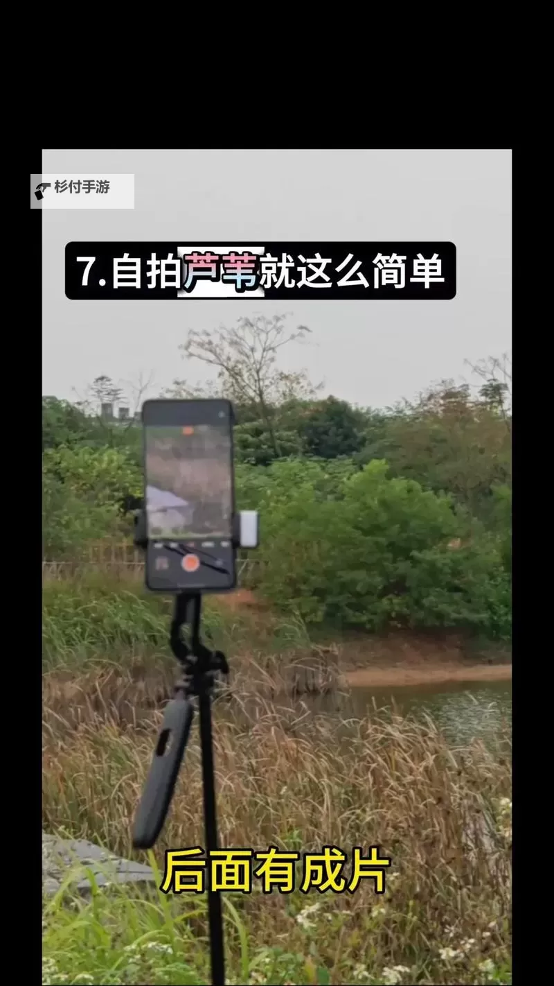 探索国内自拍网站:最新平台推荐与使用指南图2