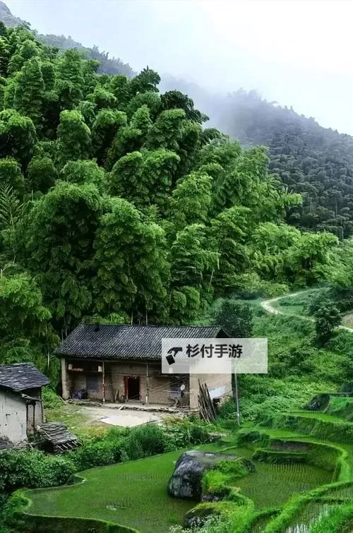 免费获取:全面펴800图库大全免费资料,海量高清图集一站下载图1