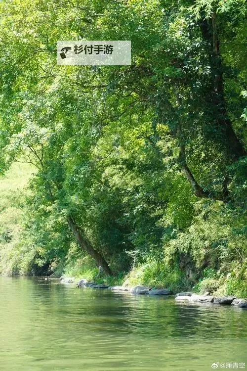 探索内心世界：理解“天天透天天哭天天操”的真实含义图1