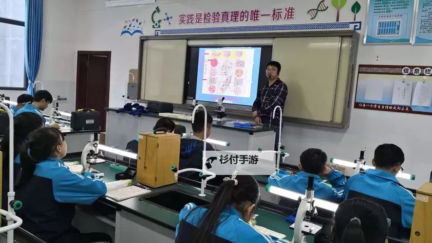 探索纯净的黄金增幅书概率的奥秘与应用图1