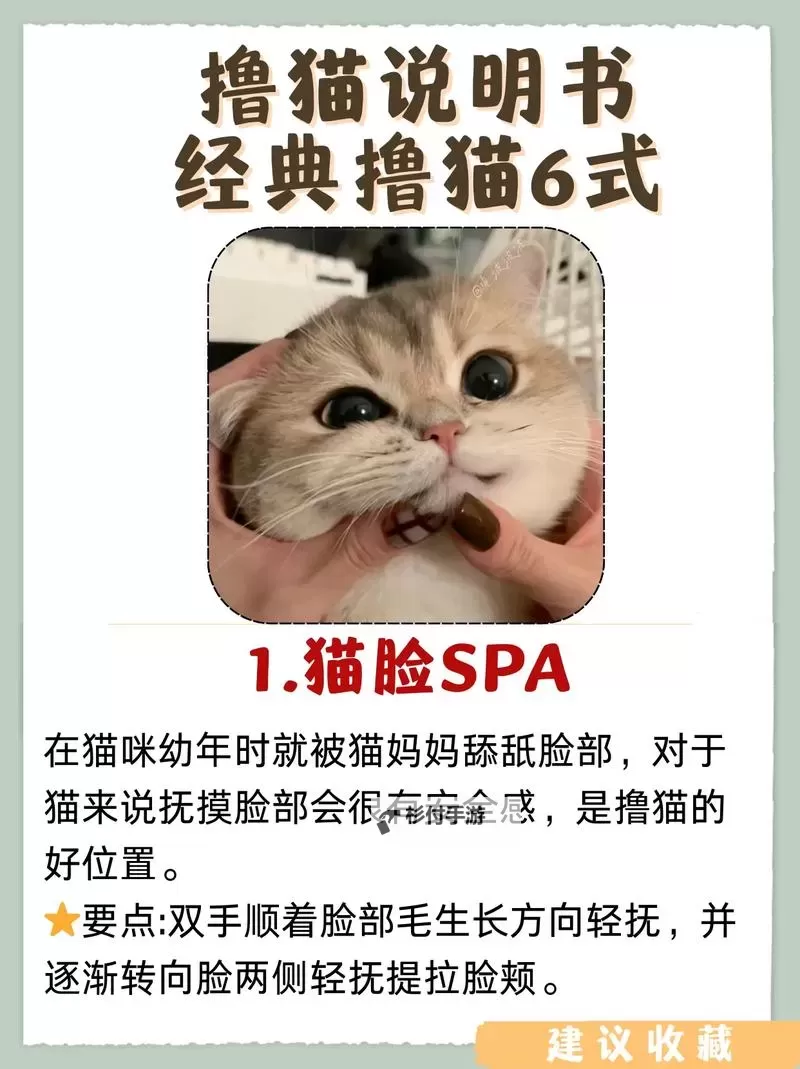 我详细解析:我要撸一区二区的经典技巧与最新攻略图1