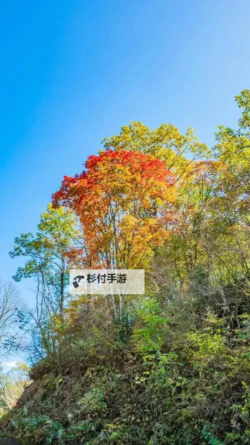 《大侠立志传》EA版沥泉枪法获取教学 怎么获取杨家军橙色枪法图1