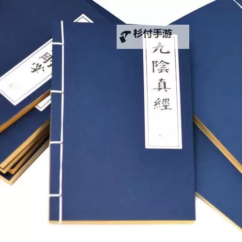 九阴真经少侠精修：揭秘武林秘籍的修炼之道图2