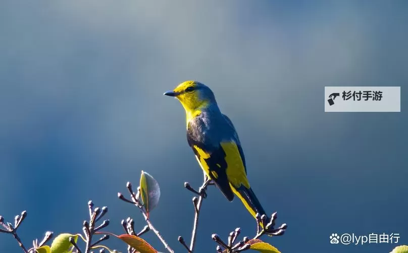 《哈迪斯2》全武器图鉴及附魔效果一览 全武器操作介绍及祝福推荐图1