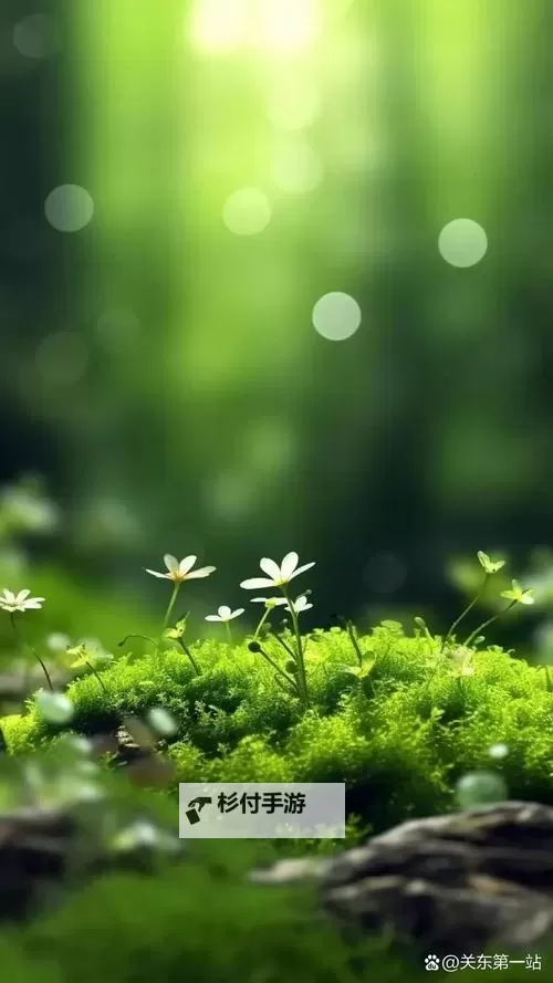 绿色希望在心间:探索青草99的无限魅力图2