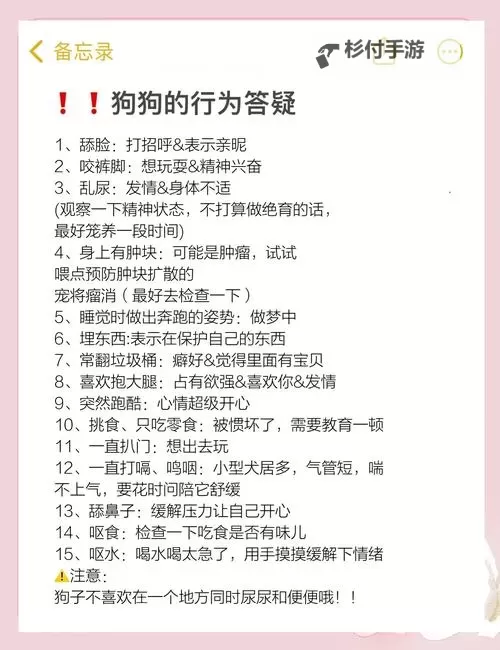 怎么让狗狗进入自己的房间不困扰你?实用技巧指南图1