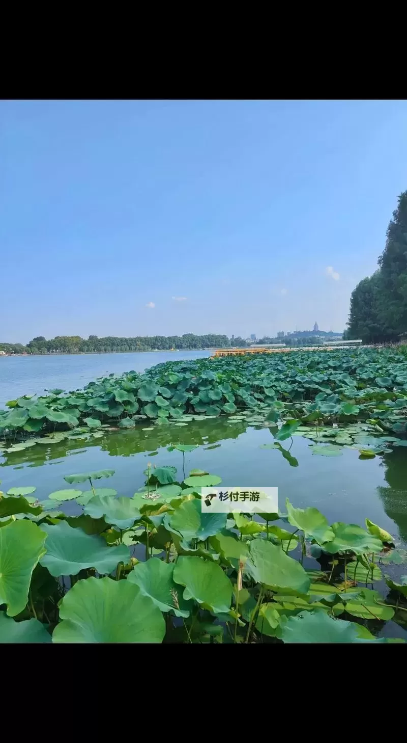 《推理学院》谁是猪头王怎么玩？谁是猪头王玩法攻略详解图1