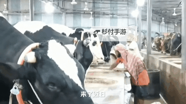 主人被自家牛怼上树，僵持长达3小时令人哭笑不得图2