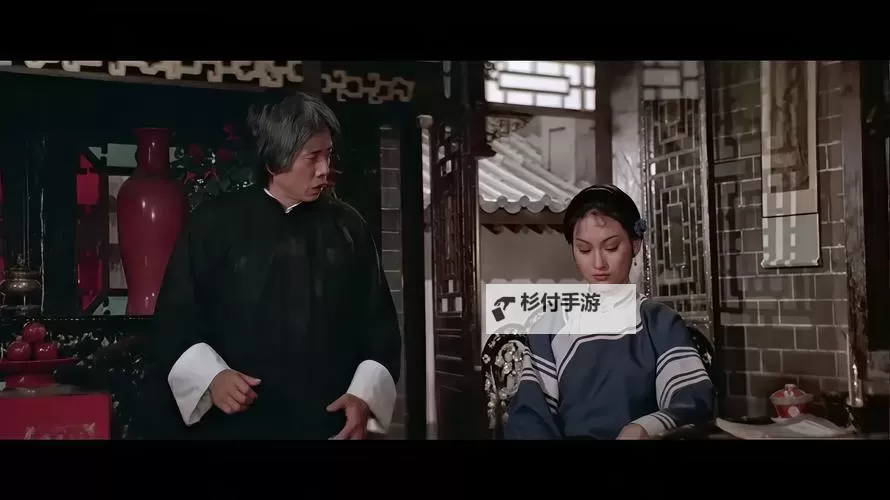 中国bgmbgmbgm老人在线观看:温馨感人经典故事推荐图1