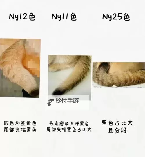 色高清毛:细腻质感尽显极致美学图1