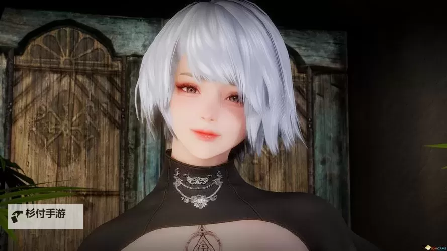 《上古卷轴5》MOD合集 美女随从与武器服装MOD合集图1