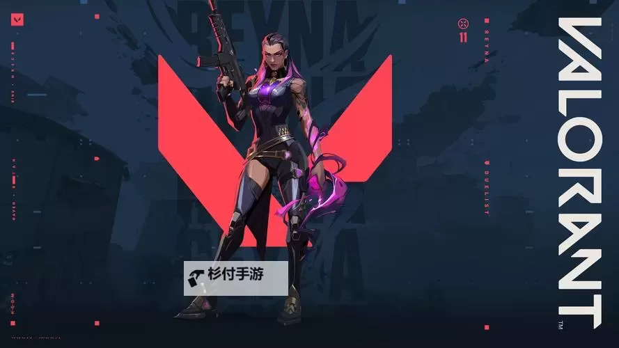 《无畏契约(Valorant)》皮肤评分查询图1