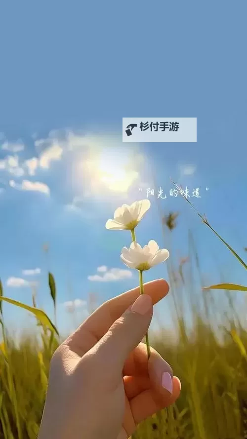 丫丫4080午夜无码:精彩内容全解析与最新动态图1