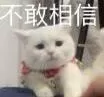 昨晚我放错了洞:一场意想不到的迷失与反思图1