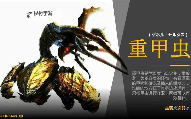 《怪物猎人XX》5个村毕业任务做法心得图1