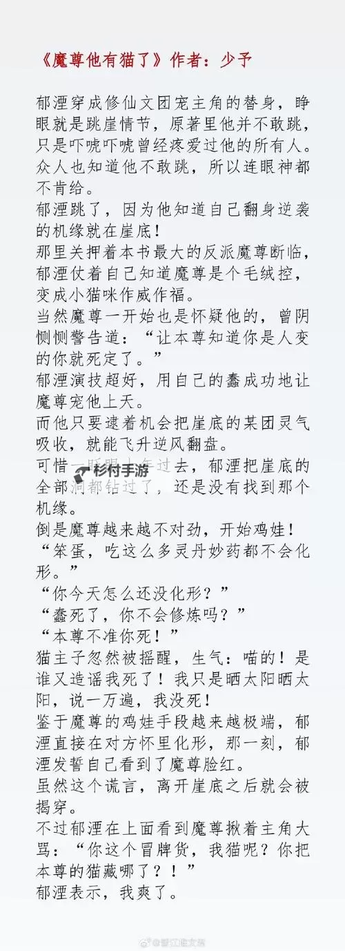 精彩推荐:杂乱合集全文阅读尽享无限精彩图1