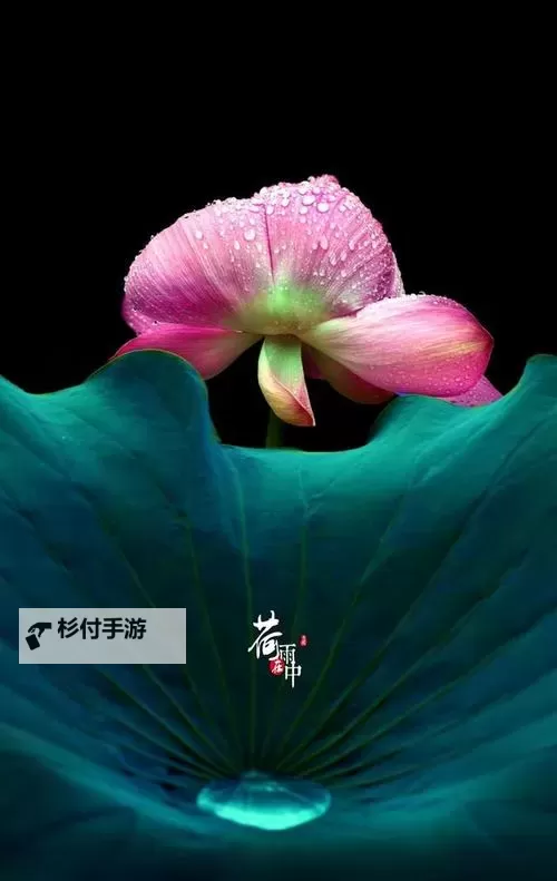 雨露均沾【后宅】:家族和谐的秘密密码图1