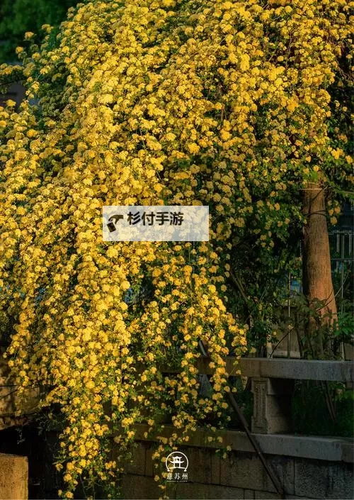 2024群英召唤师礼包码 超实用的群英召唤师礼包码免费领图1