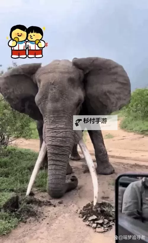 大象一区二区三区四乱码在线看:精彩一站式在线观看体验图1