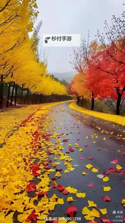 推荐几款实用的永久免费不收费的软件APP,免流畅享生活图2