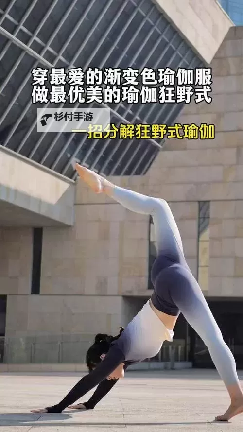 探索瑜伽狂野式体式进入的正确方法与技巧图1