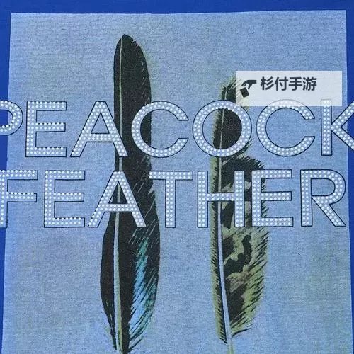 179.sx换什么了？最新更新内容全解析图1