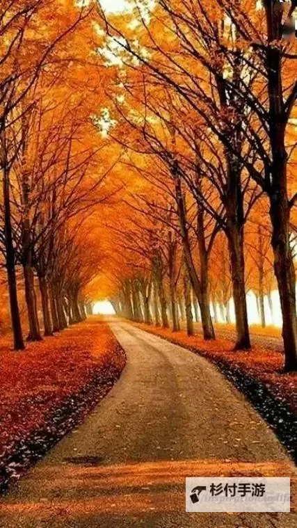 推荐几款实用的永久免费不收费的软件APP,免流畅享生活图1