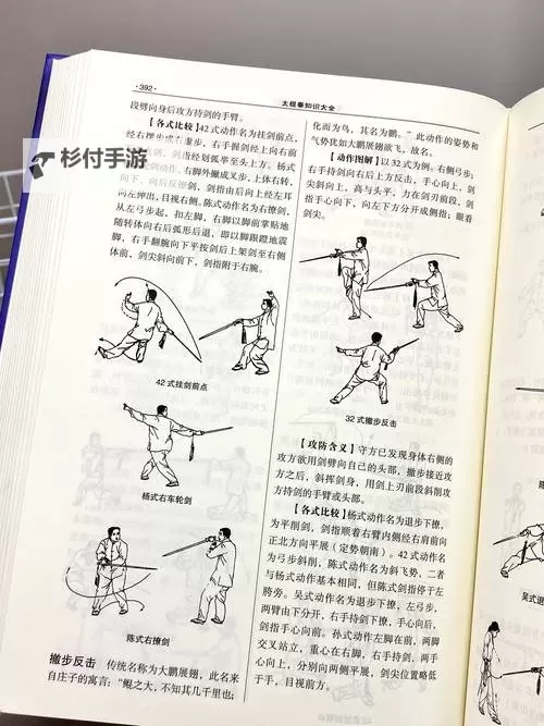 《金庸群侠传5》苗家剑法学习方法 苗家剑法怎么学图1