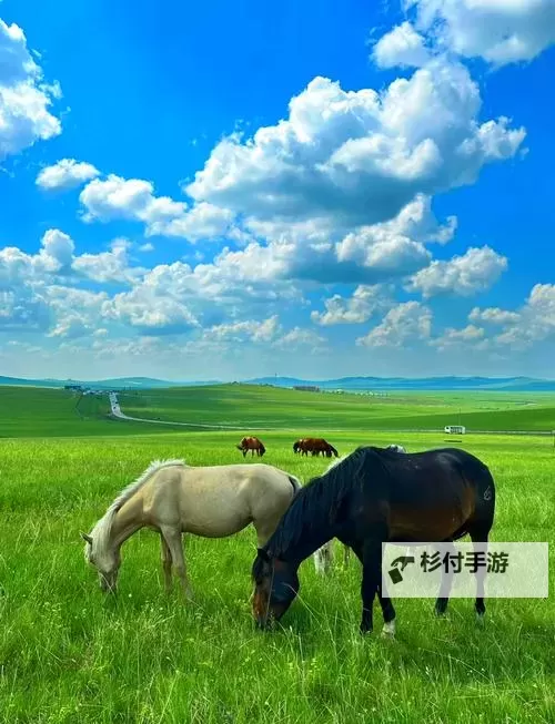 久久青青草原：童话世界里的永恒梦境图1