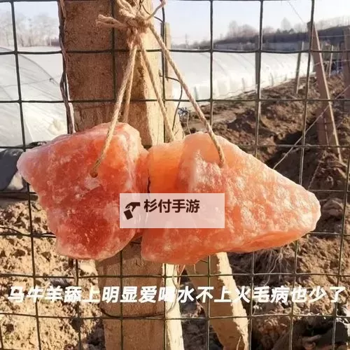 探索亚州高清无矿砖码区：打造高品质数字矿区的最新方案图1