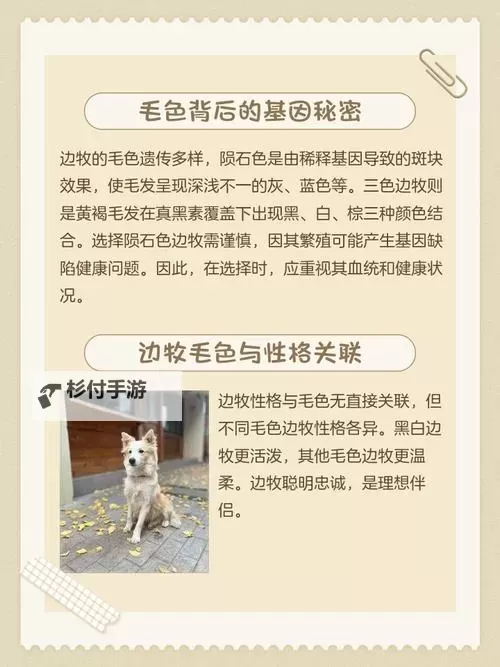 毛色免费推荐，打造专属萌宠新体验图1