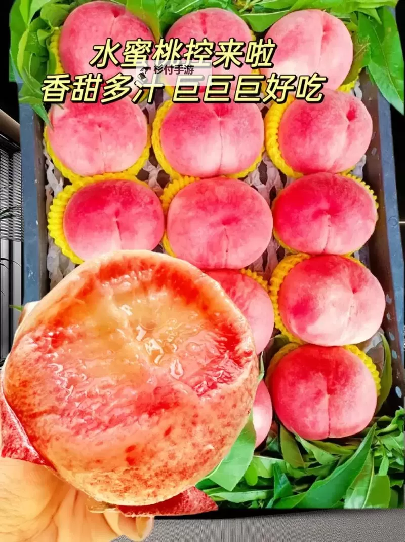 时光漫漫，温暖如春：射在我的水蜜桃的甜蜜记忆图1