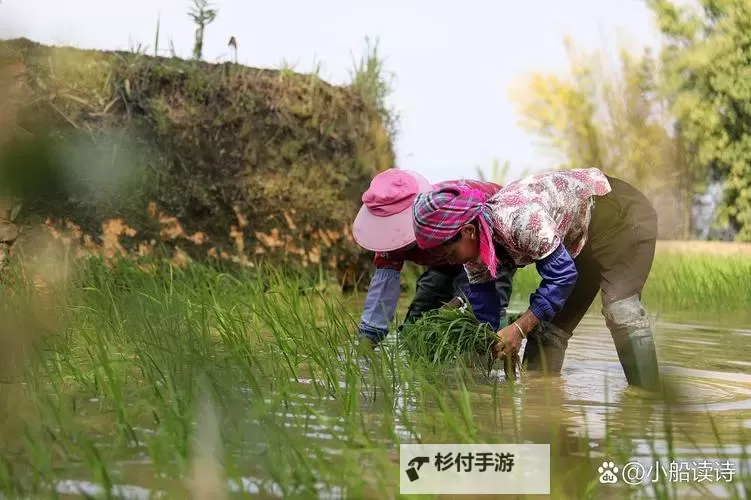 在女儿身上耕田：乡村家庭的传统与变迁图1