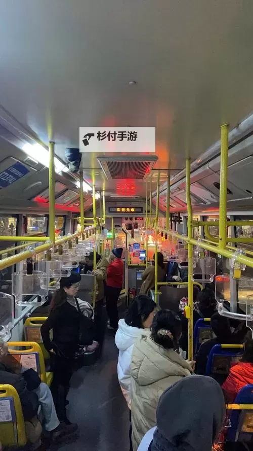 拥挤的公交车——城市生活的另一面图1