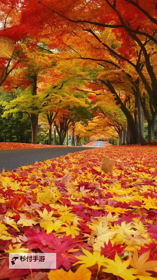 探索全新娱乐体验：X8X8拨牐拨牐X8免费视频8文字全解析图2