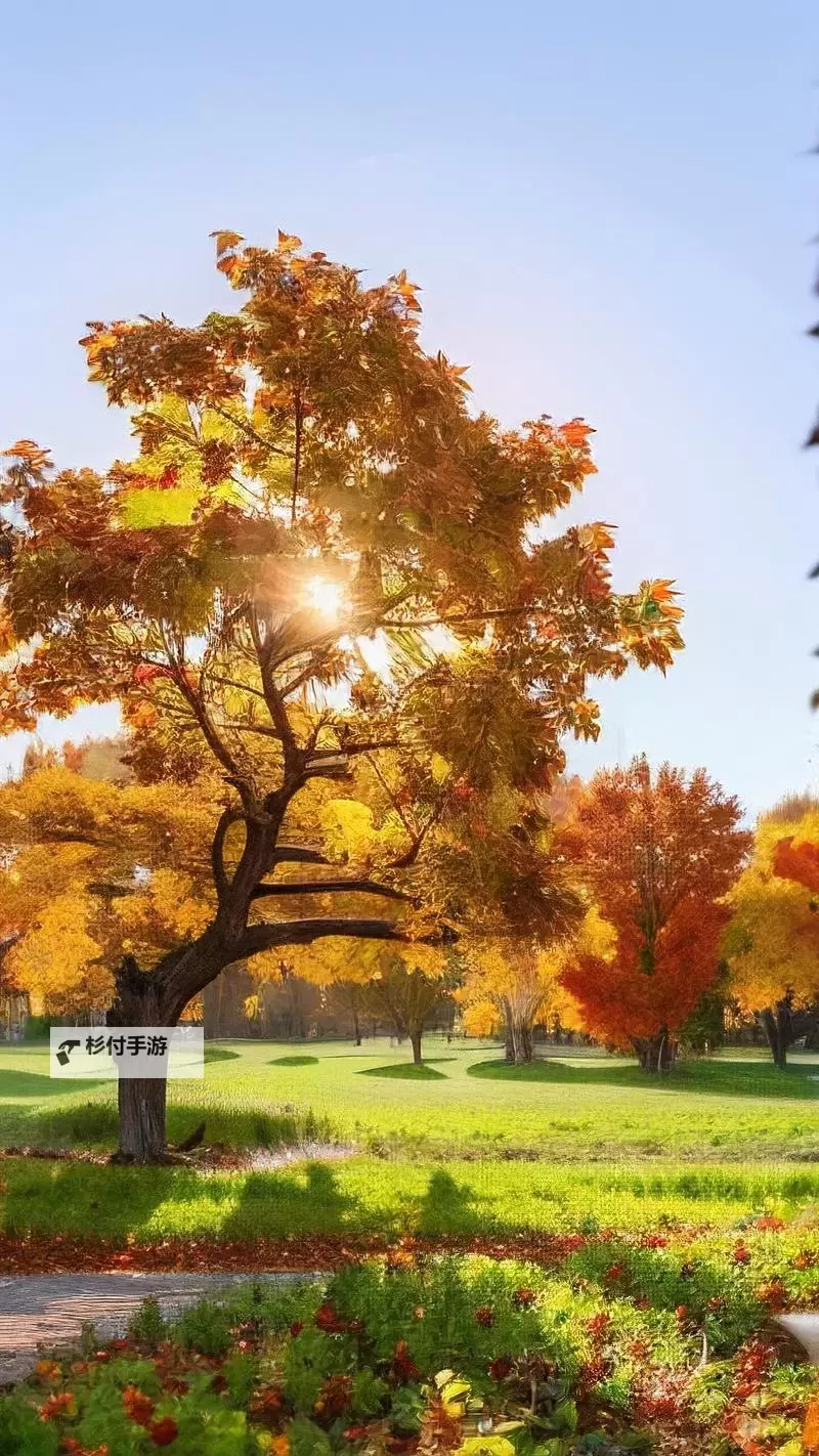 探索全新娱乐体验：X8X8拨牐拨牐X8免费视频8文字全解析图1