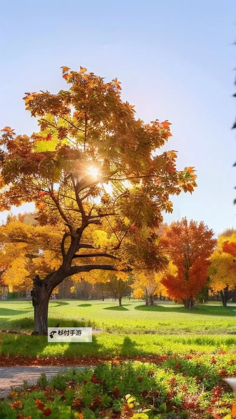 探索全新娱乐体验:X8X8拨牐拨牐X8免费视频8文字全解析图1